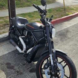 2013 Night Rod Harley Davidson 