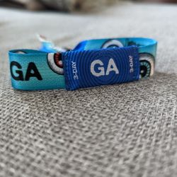 3 Day GA Wristband To SOLD OUT Shakey Knees 2024