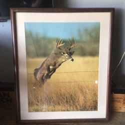 Framed Pictures For Camp Or Man Cave Rare Pictures… 