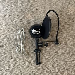 Microphone