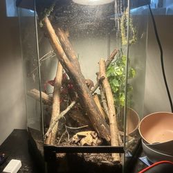 tank\enclosure
