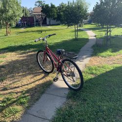 Excellent Condition Need Nothing Palomar Gt 65 Firm 