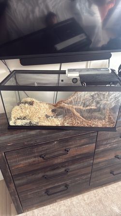 Reptile tank