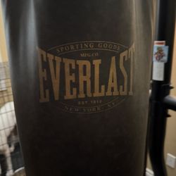 Everlast Punching Bag
