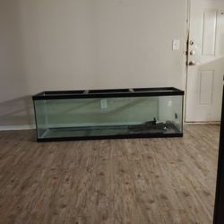 Reptile Tank
