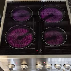 Premium Levella 20-in Glass Top 4 Burners 2.1-cu ft Freestanding Electric Stove ( Stainless)