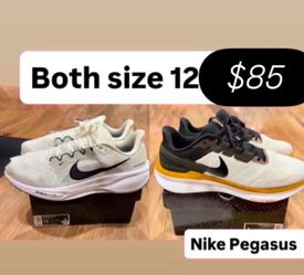 Nike Pegasus men’s size 12 both for $85