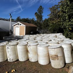 55 Gallon Drums 