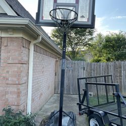 Basketball Hoop / Net Lifetime