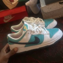 Nike Dunks Lows 