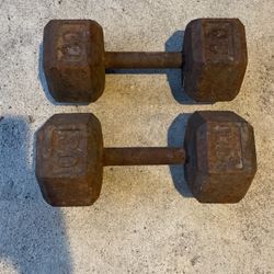 2x30 Pound Dumbbells