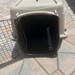 dog kennel medium