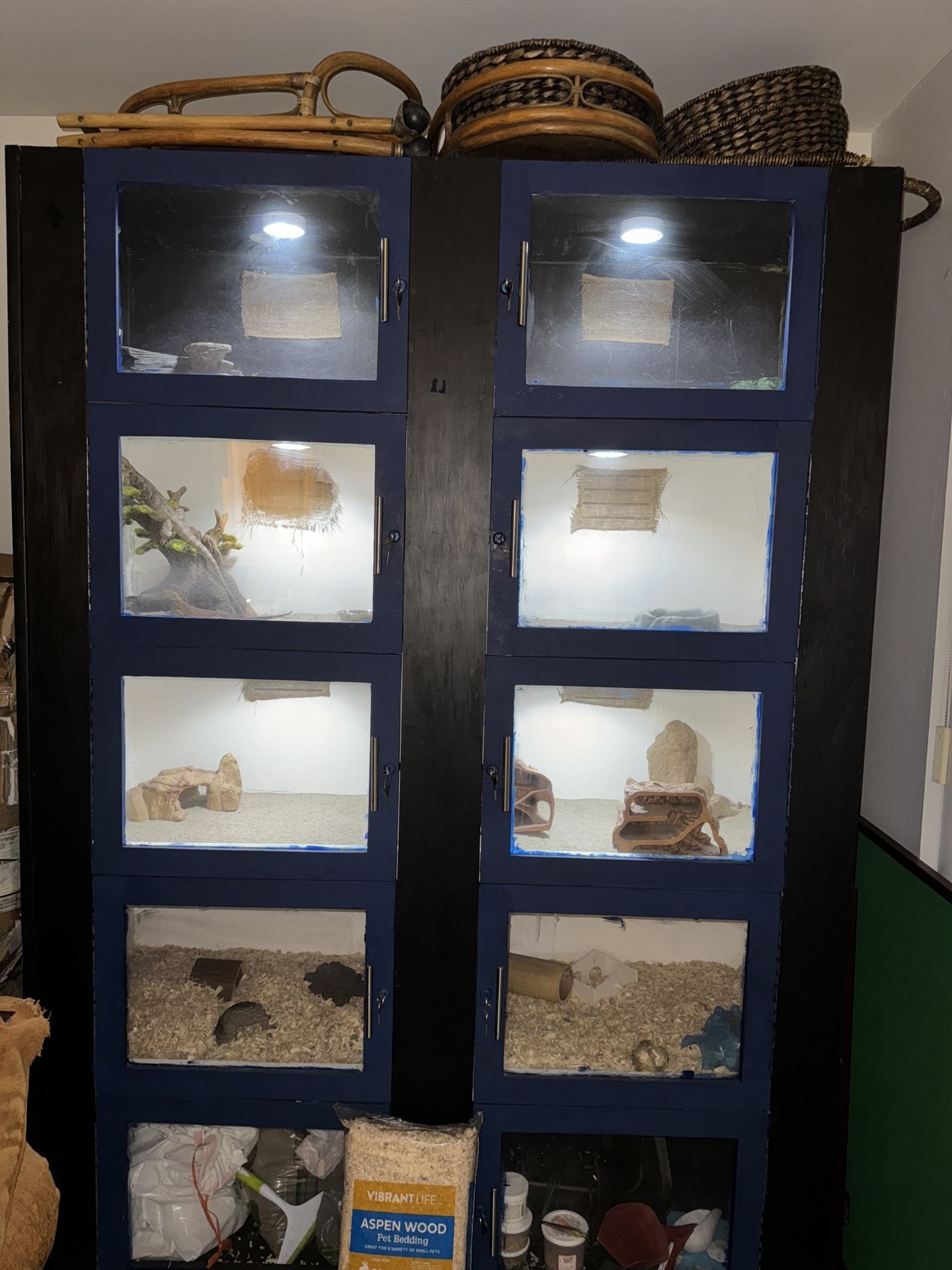 Custom 5-Level Wooden Reptile Enclosure(Must Go Today)
