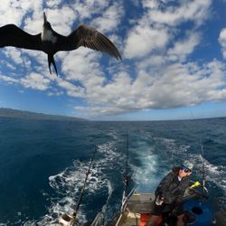 Wildlife- Fishing And Sunset Tours 