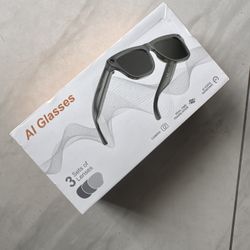 Ai Glasses