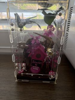 Jumping Spider Homes   