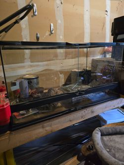 Large Reptile Terrarium