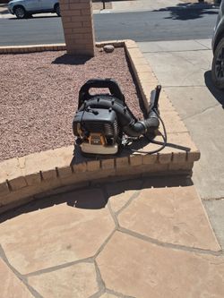 Gas blower