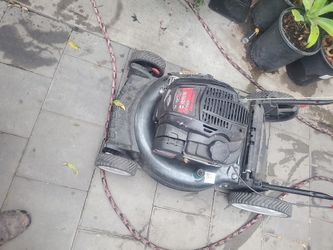 Máquina de Cortar Pasto