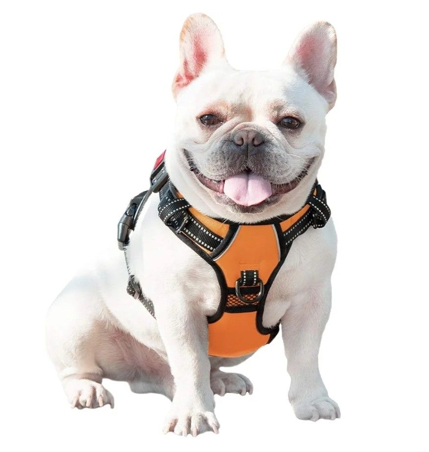 PhoePet Orange No Pull Reflective Dog Harness Size Large