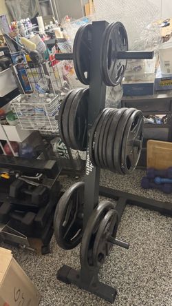 Workout Bench , 18 TSA stand , two weight holder