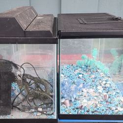 Three 10 Gallon Aquariums