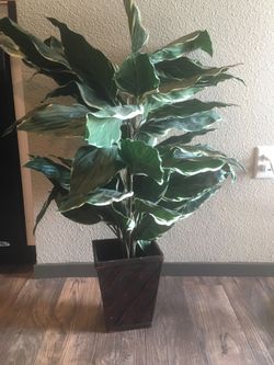 Artificial Plant