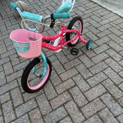 Kid schwinn bike
