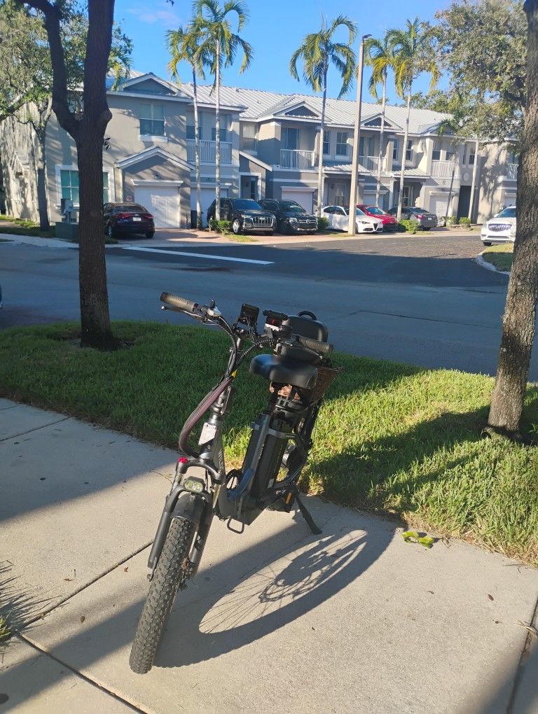 Electric Bike With Back Support And Basket