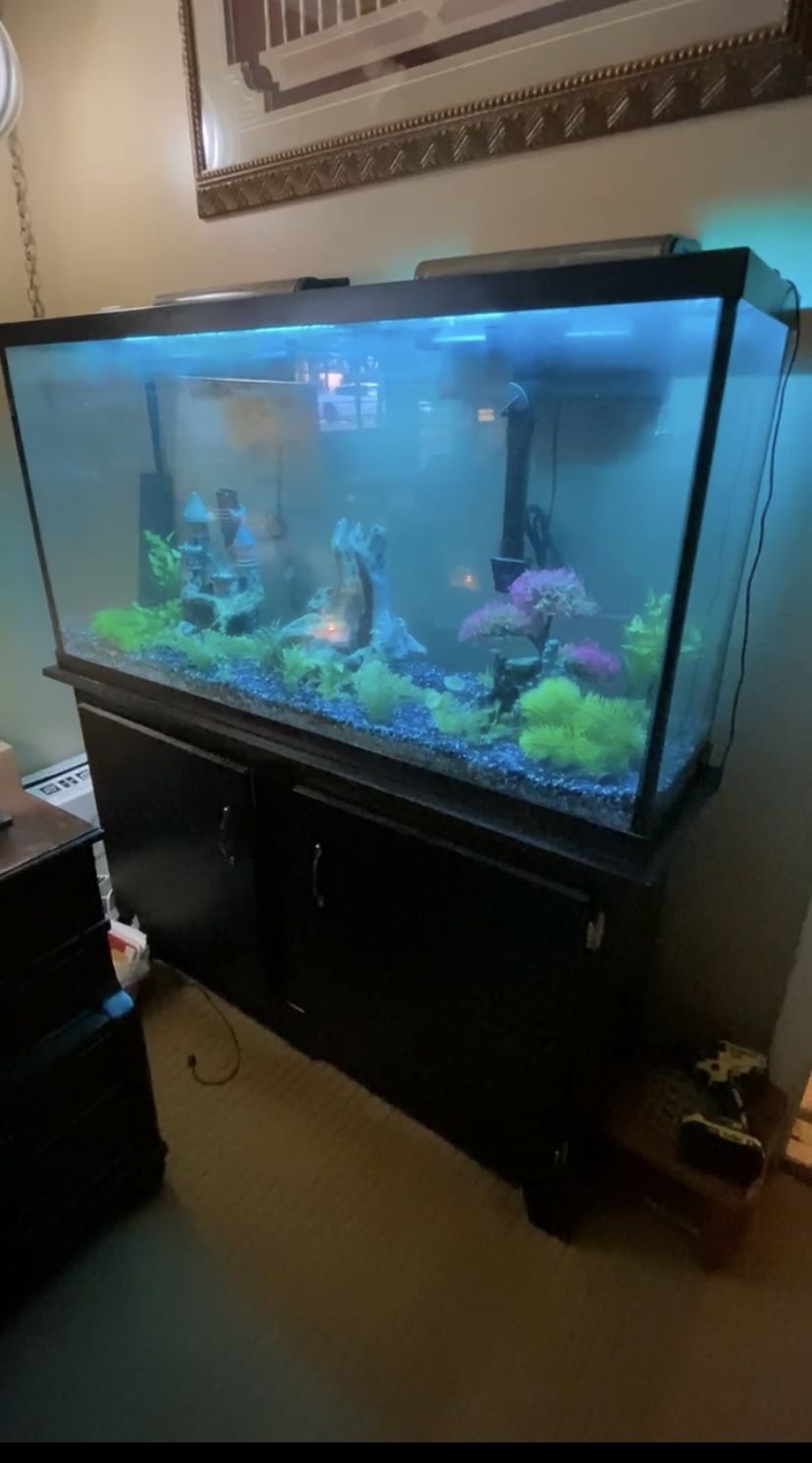 Nice 75 Galloon Aquarium With Stand