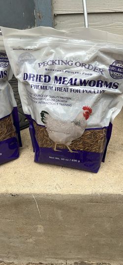 Pecking order mealworms
