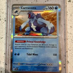 Carracosta 038/142 Rare Holo Stellar Crown Pokémon TCG
