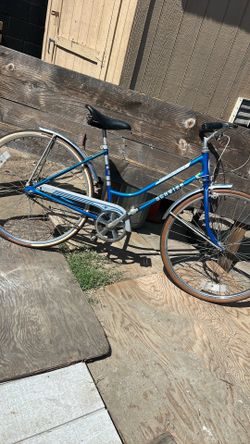 Vintage Schwinn 1970