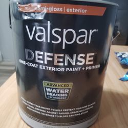 Semi Gloss Black Exterior Paint