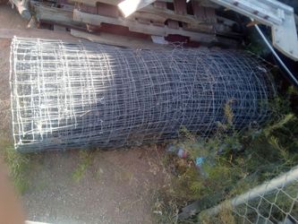Chicken wire