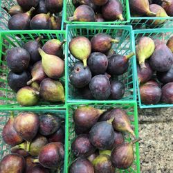 4200Broadway Blvd Garland 