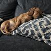 Micheal