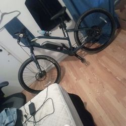  Raleigh  Ebike  TALUS