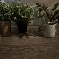 Fake plants (6$ each or 15$ all together )