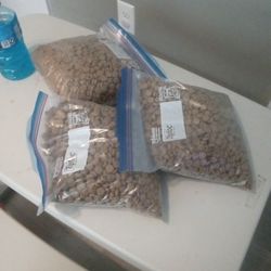 (( ADULT DOG FOOD )) 