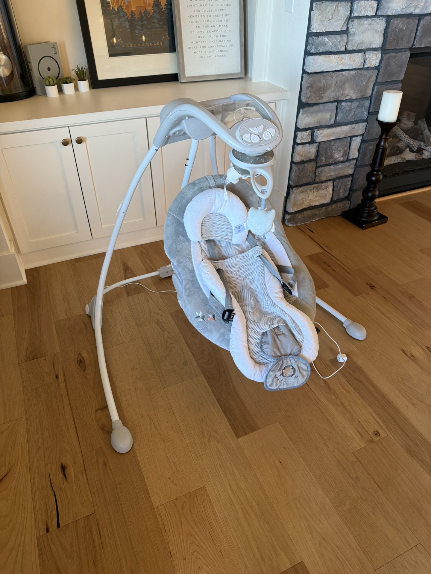 Baby Rocker Swing