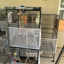 Jaula Para Cockatiel