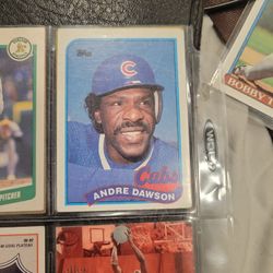 Andre Dawson Cubs Baseball Card