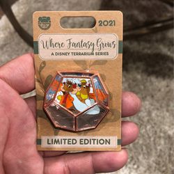 2021 Limited Edition Disney Pin