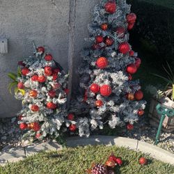 Christmas Trees 