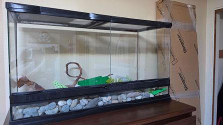 Large terrarium w/a few specimen toys