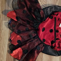 Halloween Costume Lady Bug
