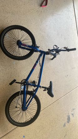 Blue Mongoose Kids Bike