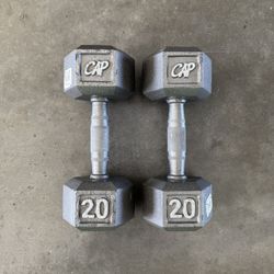 20lb Dumbbells