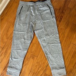 NWT Eddie Bauer Men’s performance jogger blue Size XL